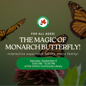 The Magic of Monarch